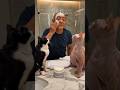 Bald Cat Gets Magic Hair Cream and Instantly Transforms | 毛のない猫に魔法のクリームを塗ったら一瞬でモフモフに大変身