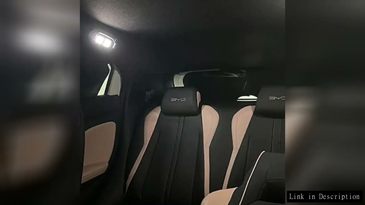 For BYD Seagull Dolphin Mini Inner Door Handle Reading Light Armrest Lighting Automatic Light auto A
