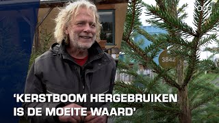 Kerstbomen Gaan Weer De Grond In Bij Tuinindestad Groningen