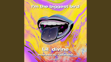 I’m the biggest bird