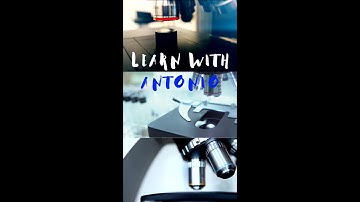 How to Focus the Microscope