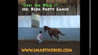 Copyright Smarthorses 2016 - Over The Stick Clip 4