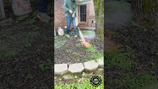 🔥 Burn Away Weeds in Seconds! | Propane Torch Weed Removal