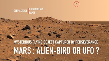 Alien-Bird Or UFO? |  Mysterious Flying Object Captured By Perseverance Rover
