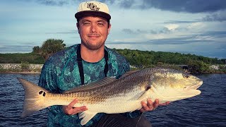 Fishing With Live Mullet For Bull Redfish