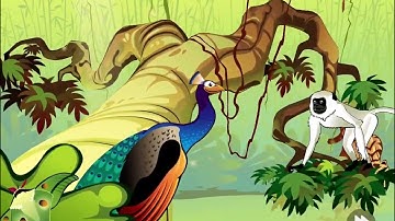 Level 13: The Indian Rainforest