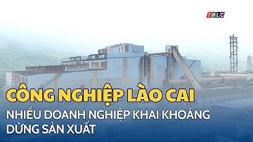 Công nghiệp Lào Cai gặp khó vì nhiều doanh nghiệp khai khoáng dừng sản xuất | THLC