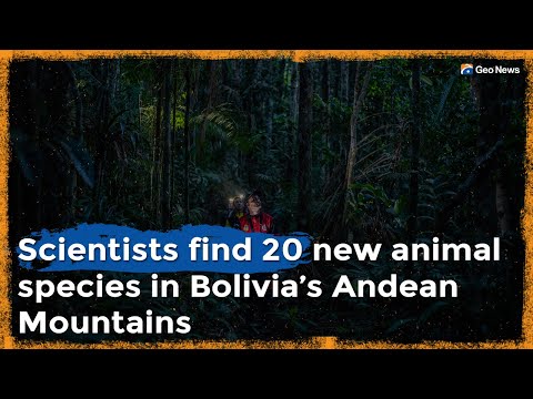 Scientists Have Discovered 20 New Animal Species in the Bolivian Andes