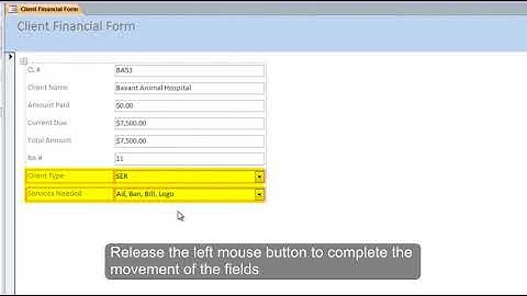 Microsoft Access: How to Move a Control within a Control Layout
