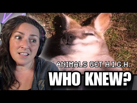 Nature is WEIRD | Casual Geographic Reaction