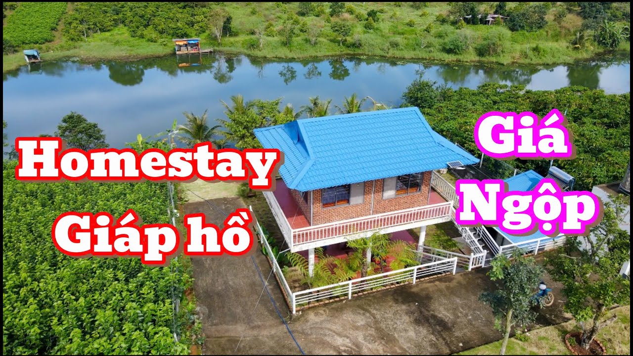 CHỦ KẸT NGÂN HÀNG CẦN BÁN GẤP CĂN HOMESTAY TÂM HUYẾT GIÁP HỒ TẠI BẢO LỘC LÂM ĐỒNG