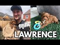 BRINGING HOME LAWRENCE, OUR 8 WEEK OLD RED CAVAPOO PUPPY | LUCY ADENEY #RedCavapoo #Puppyvlog