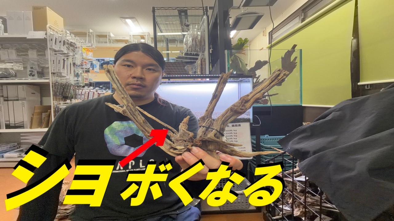 スリムウッド、置き方ミスるとショボいレイアウトになります【ADA