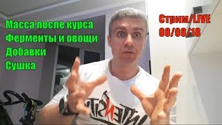 Сушка. Добавки. Ферменты и Овощи. Сохранить массу после курса. Трансформация. Ответы. Стрим Сушка. Добавки. Ферменты и Овощи. Сохранить массу после курса. Трансформация. Ответы. Стрим