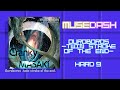 Ouroboros Twin stroke of the end - Hard 9★ FC | Muse Dash