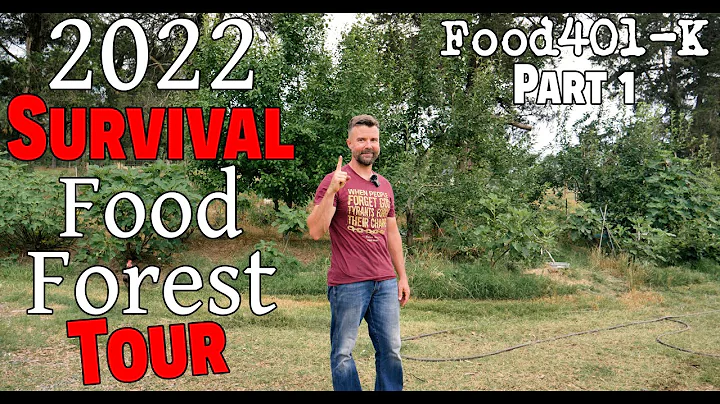 2022 Survival Food Forest Tour~ Food401-K ~ 400+ Fruit Trees On 2 Acres ~ Part 1