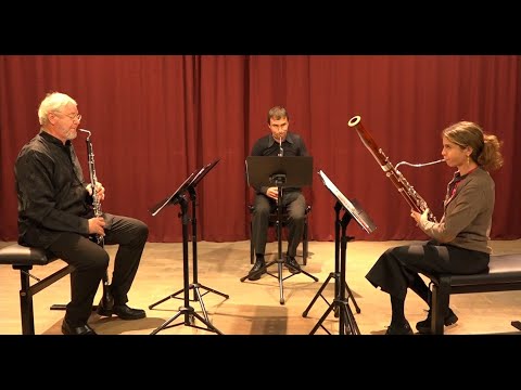 Haydn - Baryton Trio No. 97 in D Major - YouTube