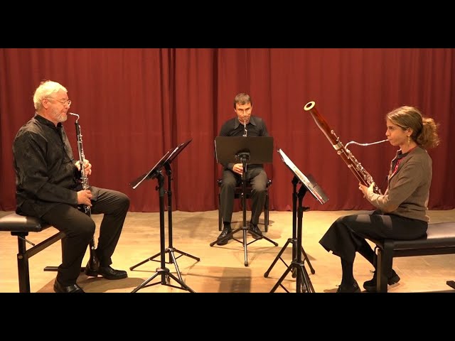 Haydn - Baryton Trio No. 97 in D Major - YouTube