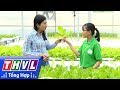 Báo Dân Việt: Kỹ sư bỏ việc nhà nước về trồng rau thủy canh, lãi 60 triệu/tháng