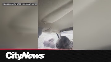U.S. ICE agents fire bullets, break car window in traffic stop, video shows