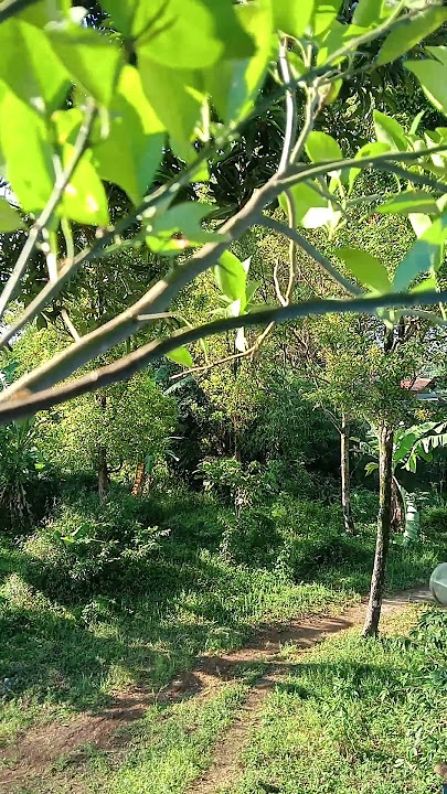 indah nya...