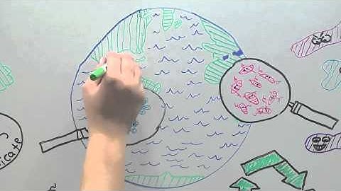 NSF GRFP Creating the Future Video Contest