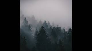 Justin Jet Zorbas - Fading Memories @JustinJetZorbas