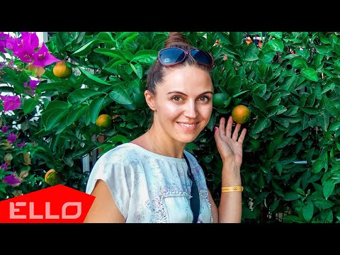 Video: Život Ne Vrijedi Ništa: 2. Dio - Matador Network