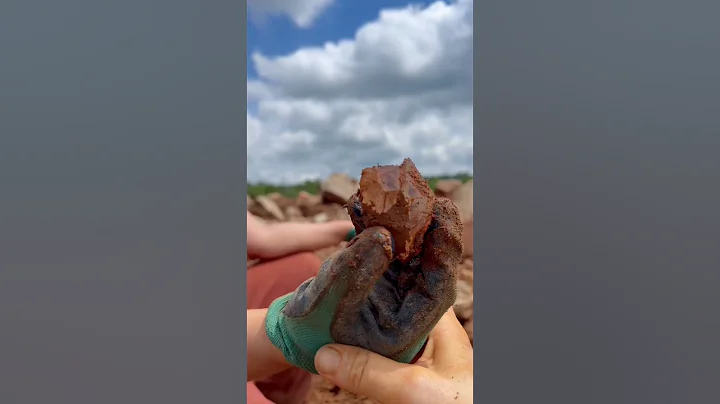 Follow us for more crystal digging adventures! #rockhounding #arkansas #crystal #quartzcrystals