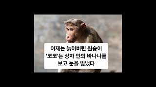 바나나의 그림자... #진놋쇠숏츠극장