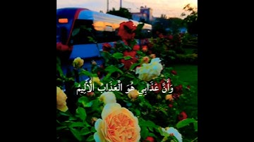 ستوريات انستا دينية//حالات واتس اب دينية//القارئ: هزاع البلوشي//بدون حقوق