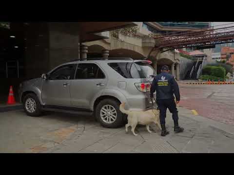 Requisitos Para Un Empleado De Valet Parking