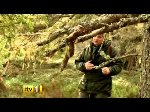 Wild Britain with Ray Mears Series 3 The Ray Mears