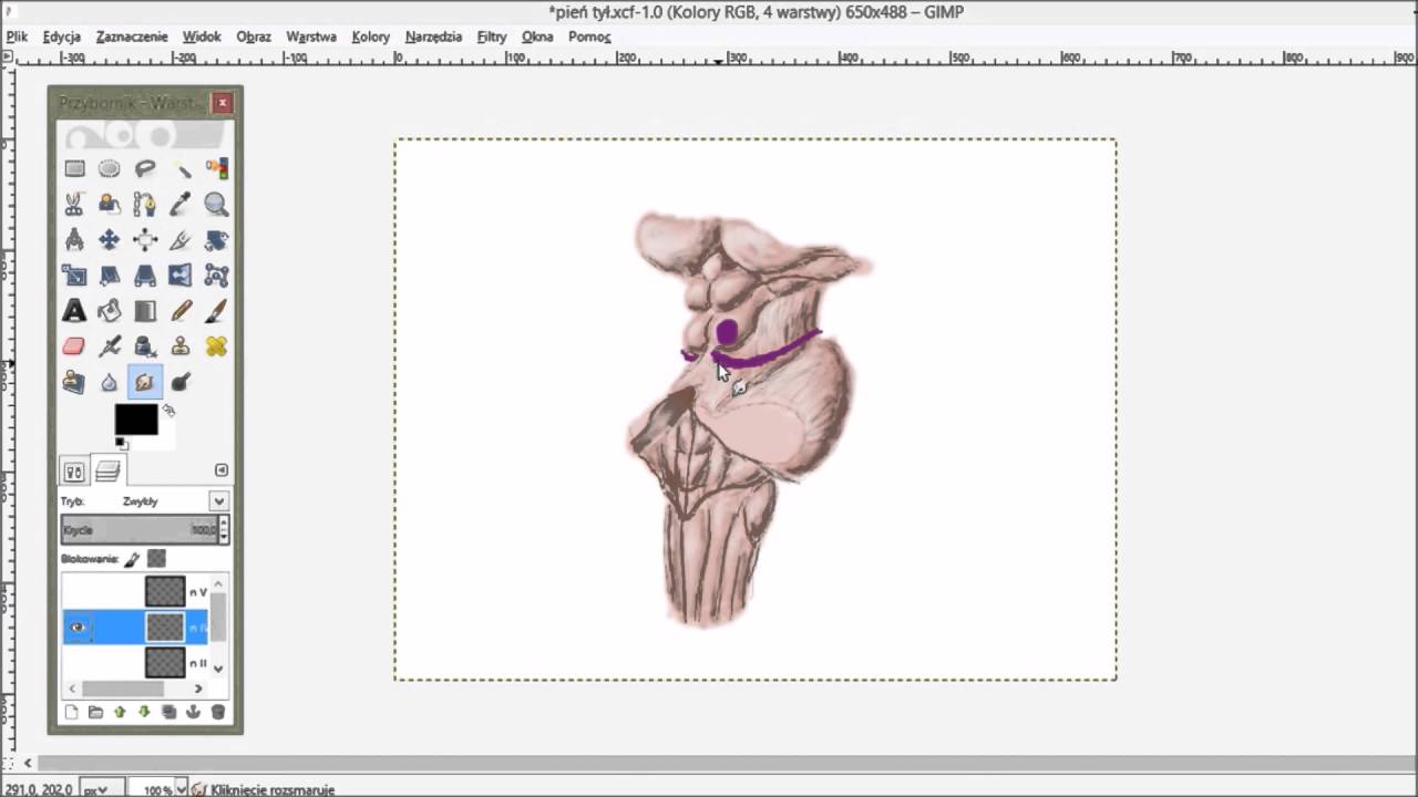 Anatomia – Nerw bloczkowy (IV) *SZORTY* — Transcript