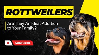 Rottweiler Realms: Loyalty, Strength, Intelligence | Dog Breeds | Guard Dogs | Rottweiler | Pets