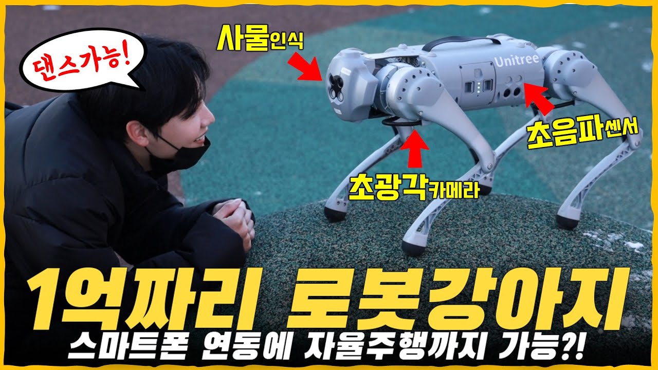 1억짜리 '로봇강아지' 언박싱! 사물인식에 자율주행은 사기 아님..? [Feat. 스타필드 산책]