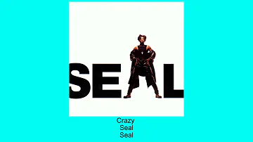 Crazy - Seal - Instrumental