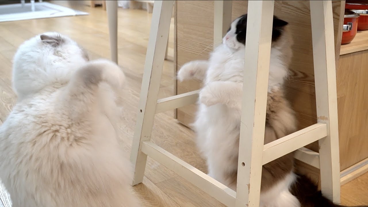 선빵 날리고 쫄은 김루카