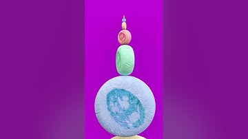 #Video Loop Animation Seamless Animation #Motion Graphics Loops #ytshorts #viralvideo #3danimation