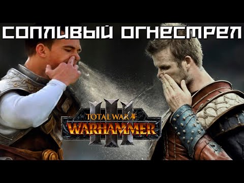 Видео: Чем ужасен огнестрел в Warhammer Total War?