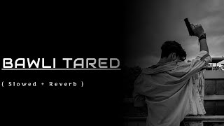 Bawli Tared ( Slowed   Reverb ): Sumit Goswami #viral #music #trending #attitude