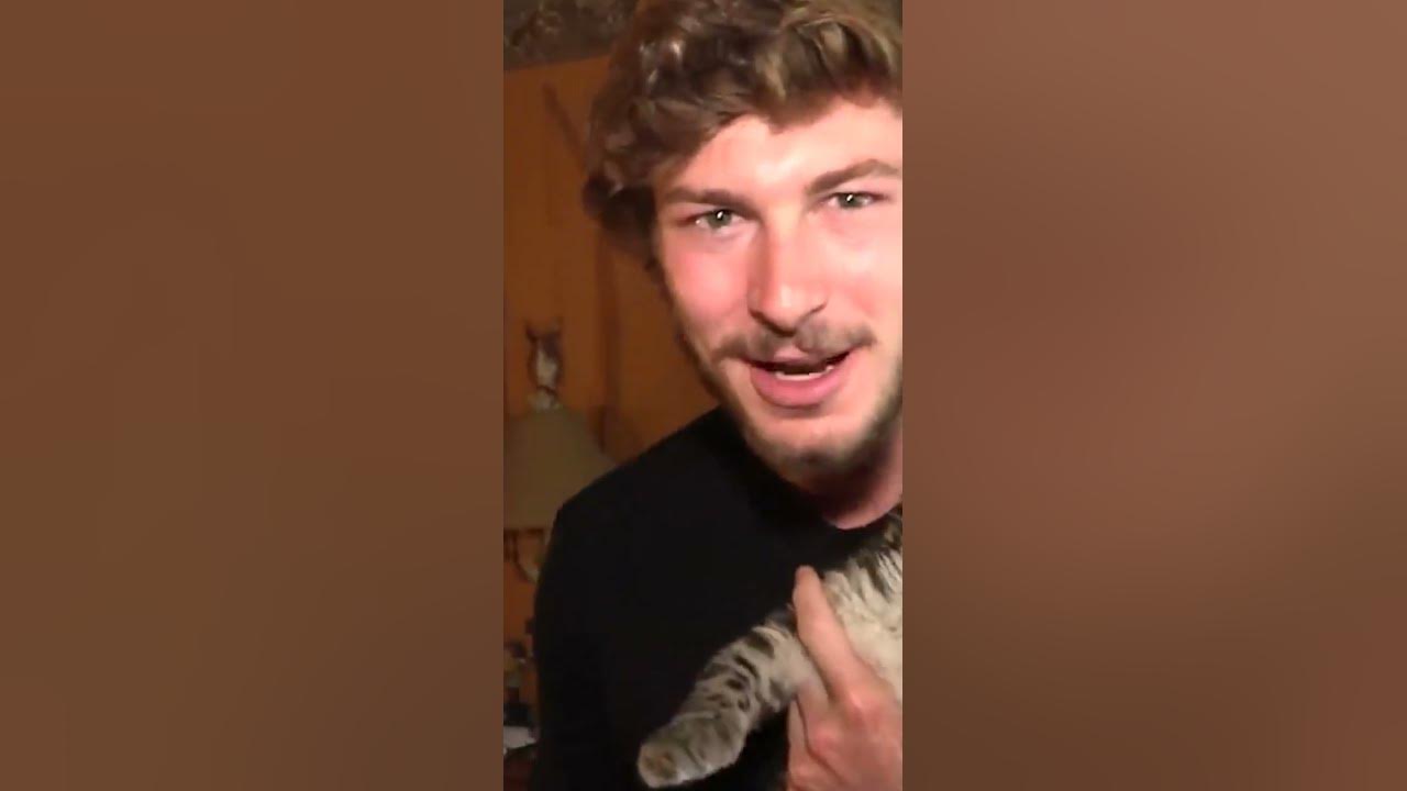 rarest-big-cat-in-the-world-chandler-s-wild-life-shorts-youtube