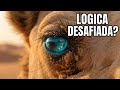 El Camello - El Barco del Desierto que Desafía la Lógica de la Vida.. #curiosidades #sabiasque