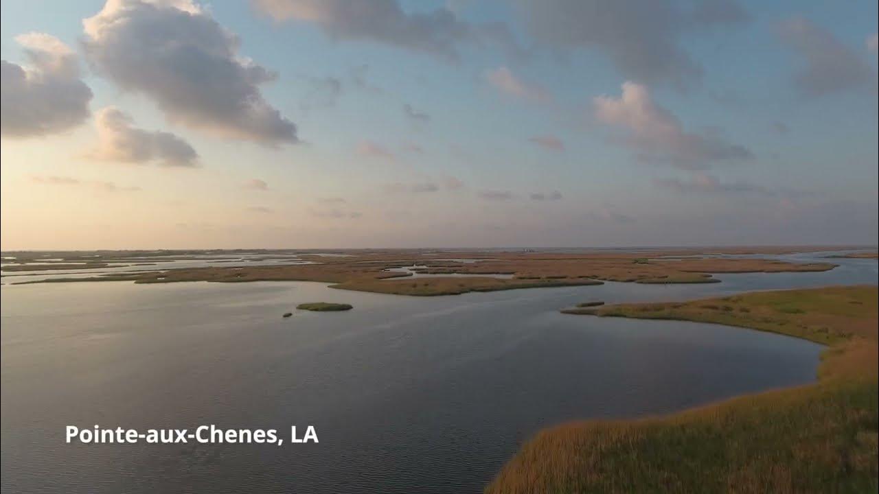 Louisiana Tiny Trips PointeauxChenes YouTube