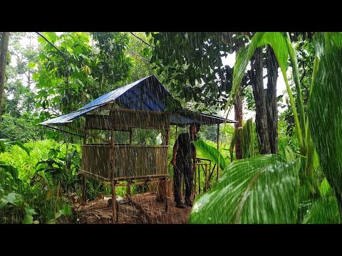 SOLO CAMPING HUJAN DERAS DI KEBUN DURIAN ATAS BUKIT- MEMBANGUN SHELTER UNTUK NUGGU DURIAN JATUH