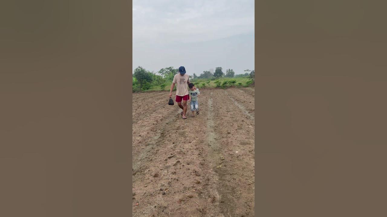 Asal kamu bahagia #song #music Asal kamu bahagia #song #music