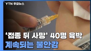 독감 백신 접종 뒤 사망 사례 잇따라...전국 40건 육박 / YTN