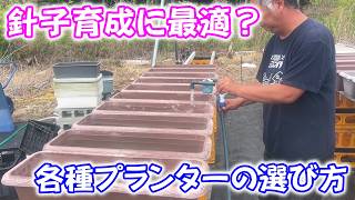 【めだか】針子育成をプランターで準備してみた。Ｂ型おやじ　2026年　5月　7日　投稿