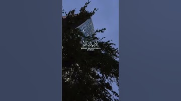 مقتطفات من سورة التغابن بصوت القارئ رعد الكردي