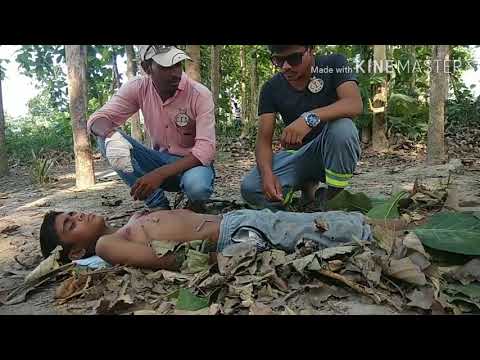C.I.D. Junior Episode 1 (Part 1) Jungle Me Khoon
